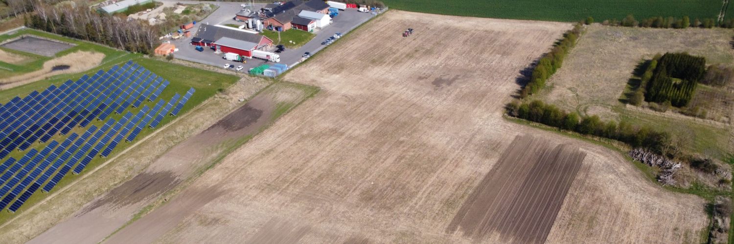 mindre ukrudt i regenerativt landbrug