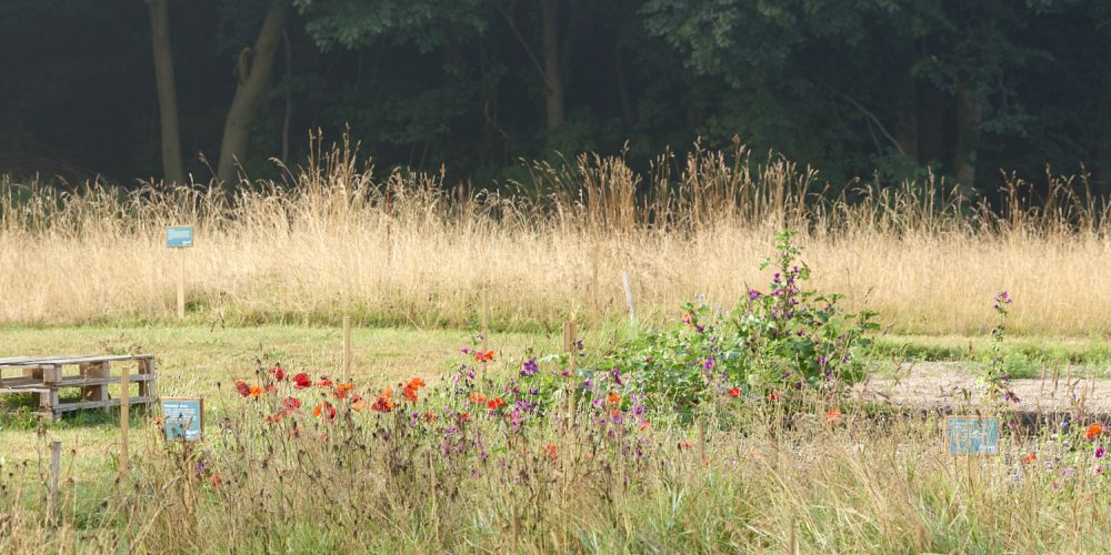 Agrovi haven. Agrovi biodiversitet.
